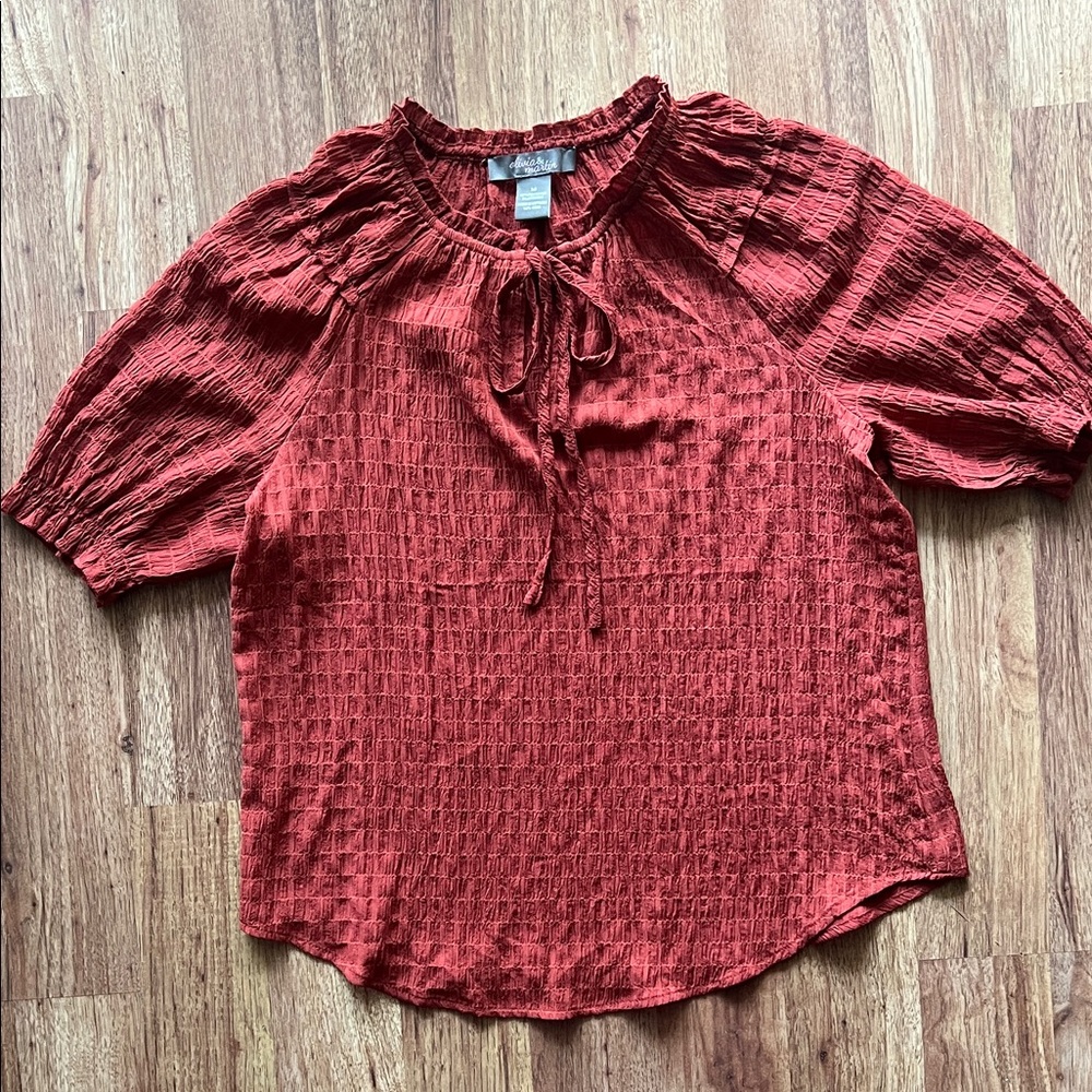 Elegant Rust Blouse with Tie Neck